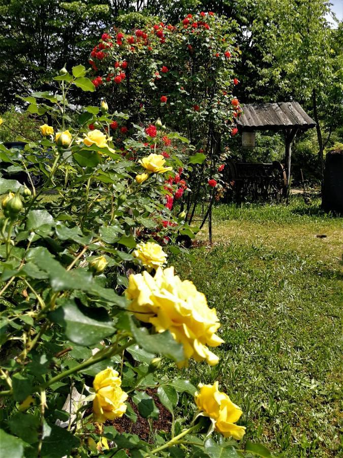 La Valle Nervesa della Battaglia Ngoại thất bức ảnh